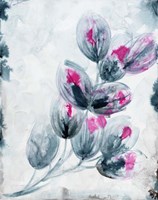 Fuschia Splash1 Fine Art Print