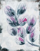 Fuschia Splash 2 Fine Art Print