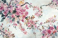 Cherry Blossoms Morning Fine Art Print
