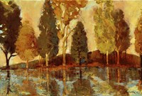 Trees On The Lake Fine Art Print