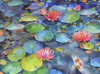 Water Lili Fine Art Print