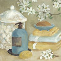 Bathroom Accessories II Fine Art Print