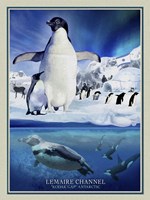 Kodak Gap Fine Art Print