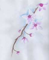 Cherry Blossoms Fine Art Print