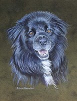 Dog 2 Virgil Fine Art Print