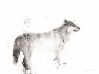 Wolf Fine Art Print