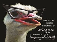 Ostrich Don't Text Me Fine Art Print