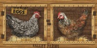 Chicken House Fine Art Print