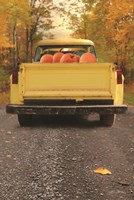 Yellow Pumpkin Hauler Fine Art Print