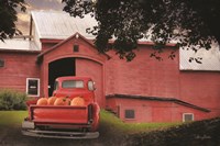 Red Pumpkin Truck Fine Art Print