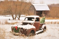Christmas Lawn Ornament Fine Art Print