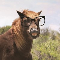 Say Cheese Horse Fine Art Print