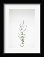 Simple Stems III Fine Art Print