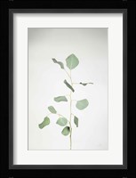 Simple Stems I Fine Art Print