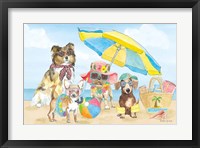 Summer Paws I Framed Print