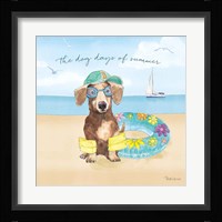 Summer Paws III Framed Print