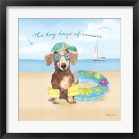 Summer Paws III Framed Print