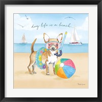 Summer Paws II Framed Print