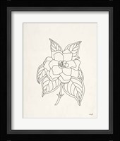 Gardenia Line Drawing Fine Art Print