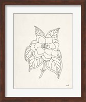 Gardenia Line Drawing Fine Art Print