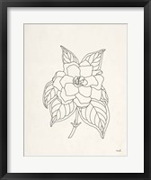 Gardenia Line Drawing Fine Art Print