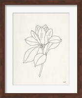 Magnolia Line Drawing Fine Art Print