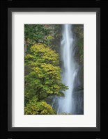 Multnomah Falls color Fine Art Print