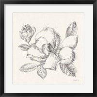 Flower Sketches II Fine Art Print