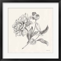 Flower Sketches I Fine Art Print