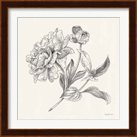Flower Sketches I Fine Art Print