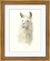 Classic Llamas II Fine Art Print