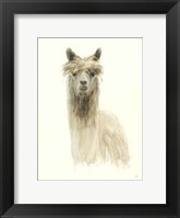 Classic Llamas I Fine Art Print
