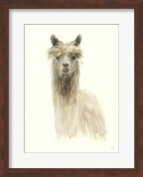 Classic Llamas I Fine Art Print