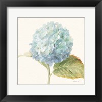 Floursack Florals V - Blue Hydrangea Crop Fine Art Print