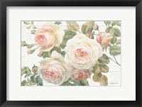 Vintage Roses White on Shiplap Crop Fine Art Print