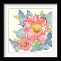 Peony in the Pink II Framed Print