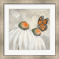 Butterflies are Free II Fine Art Print