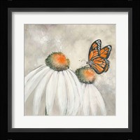 Butterflies are Free II Framed Print