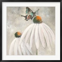 Butterflies are Free I Fine Art Print