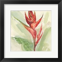 Exotic Flower IV Fine Art Print