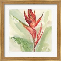 Exotic Flower IV Fine Art Print