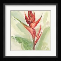Exotic Flower IV Fine Art Print