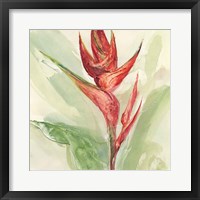 Exotic Flower IV Framed Print