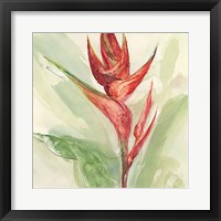 Exotic Flower IV Fine Art Print
