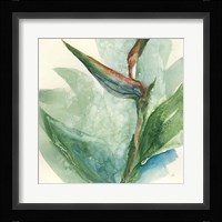 Exotic Flower III Fine Art Print