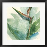 Exotic Flower III Fine Art Print