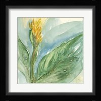 Exotic Flower II Framed Print