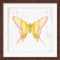 White Barn Butterflies IV Fine Art Print