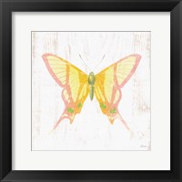 White Barn Butterflies IV Framed Print