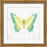 White Barn Butterflies III Fine Art Print